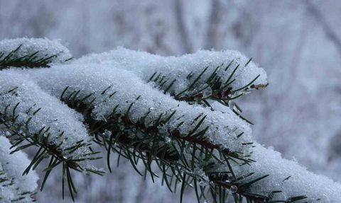 Ardahan beyaza büründü: Kar yağışı kentte kartpostallık görüntüler oluşturdu