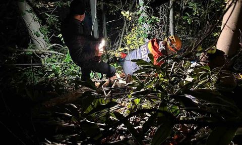 Arifiye’de orman işçisi düşüş sonrası ekip müdahalesiyle kurtarıldı