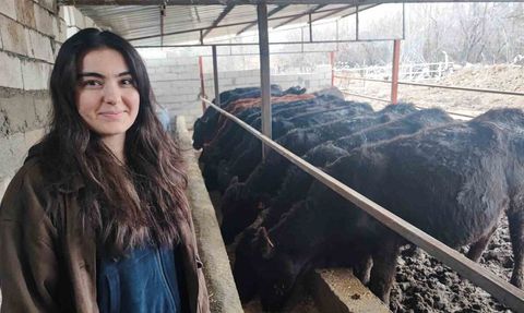 Atama Beklerken 15 gebe düveyle hayvancılığa başladı