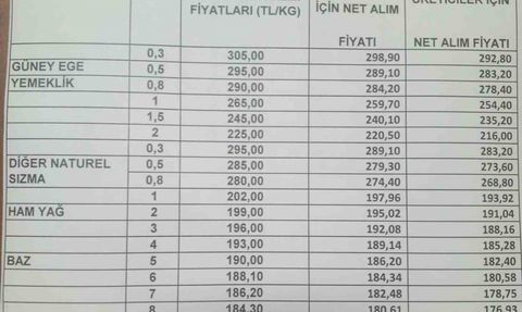 Aydın'da zeytinyağı alım fiyatları yükseldi