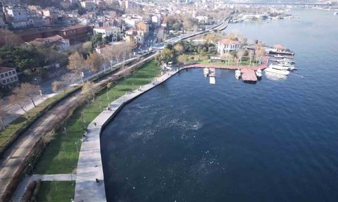 Balat sahilinde çöpler ve deniz anaları balıkçıları rahatsız etti