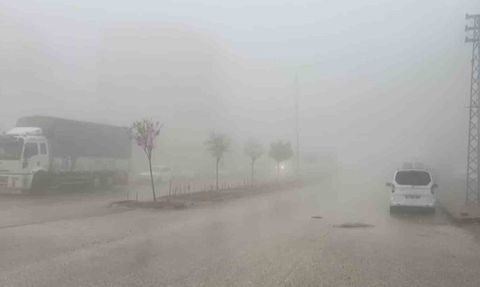 Besni'de sabah sis hayatı olumsuz etkiledi