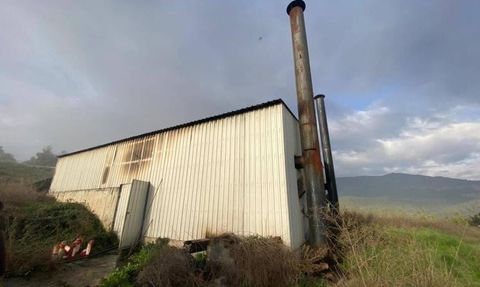 Bilecik'te tavuk çiftliği kazan dairesinde yangın