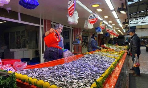 Bolu'da hamsi fiyatı 150 liraya geriledi