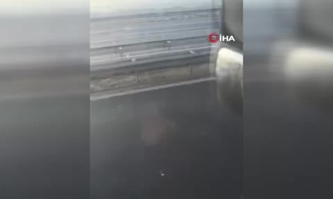 Büyükçekmece'de emniyet şerdi kavgası: Sürücü aracını yumrukladı