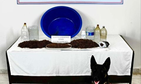 Çankırı'da jandarma operasyonu: tütüne emdirilmiş sentetik kannabinoid ele geçirildi