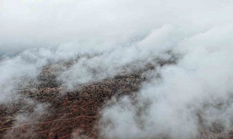 Çankırı Korgun'da Sisle Buluşan Sonbahar Ormanları Kartpostallık Görüntüler Oluşturdu