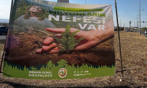 Cizre’de Havalimanı Yoluna 450 Fidanla ‘Geleceğe Nefes’