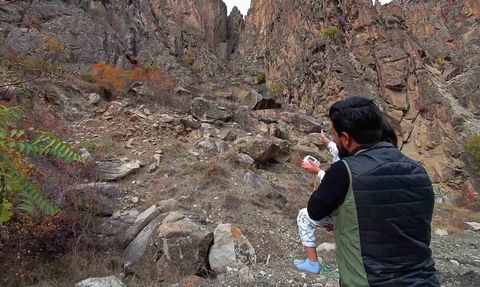 Dağ keçileri Erzurum'da ilçe merkezlerine indi