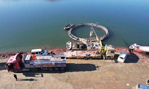 Denizi Olmayan Tokat’ta Yetişen Türk Somonları Dünya Sofralarına Ulaşıyor