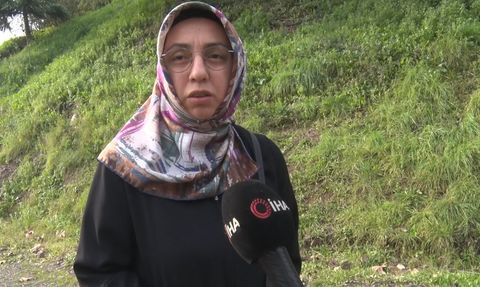 Derince'de sürü halinde gezen başıboş köpekler vatandaşları tedirgin etti