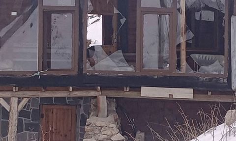 Doğu Karadeniz'de ayılar kış uykusuna yatmıyor: Yayla evlerine saldırılar devam ediyor