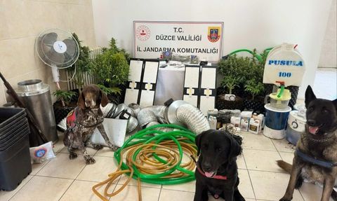 Düzce'de Uyuşturucu Operasyonu: 1 Kişi Gözaltına Alındı