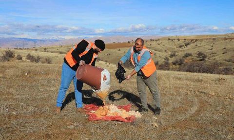 Elazığ'da sokak ve yaban hayvanlarına yem bırakıldı