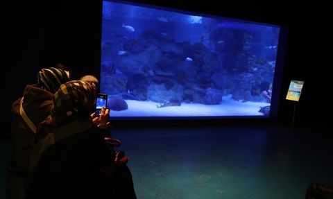 Engelsiz Dalış: Bağcılar Kursiyerleri Su Altında Bröve Aldı