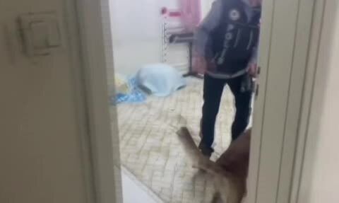 Gaziantep'te 22 kilo 219 gram skunk ve çok sayıda silah ele geçirildi