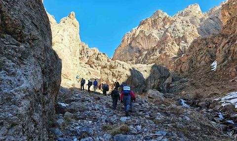 Hakkari'de dağcılar Gene Zor Tepesi'nde nesli tehlikedeki gelinciği belgeledi