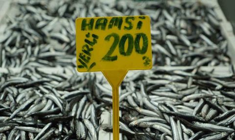 Hamside bolluk geriledi, fiyat 200 TL'ye çıktı