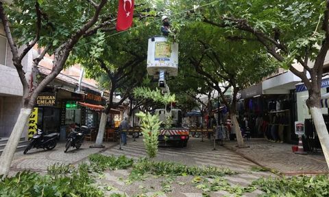 İncirliova Sevgi Yolu'nda ağaç bakımı ve çevre temizliği