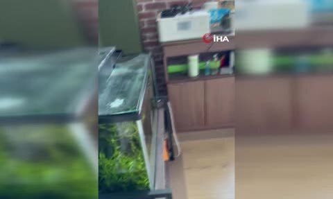 Japonya'da 6.7 büyüklüğünde deprem ve tsunami uyarısı