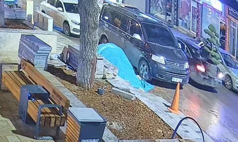 Kahramanmaraş'ta parktan büyük saksıdaki ağacı araçla çaldılar