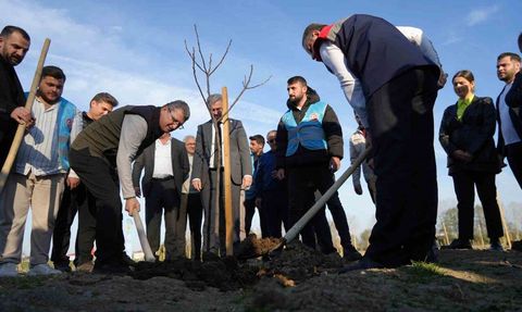 Karadeniz'in en büyük incir projesi Tekkeköy'de: Gelir kız öğrencilere burs olacak