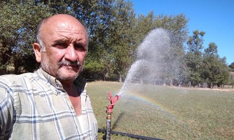 Kastamonu’da domuz avında ölen komşu davasında karar: Birine 3 yıl 4 ay hapis, diğeri beraat