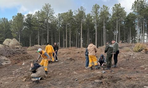 Kırşehirli üniversiteliler Çine Kavşit'te fidan dikti