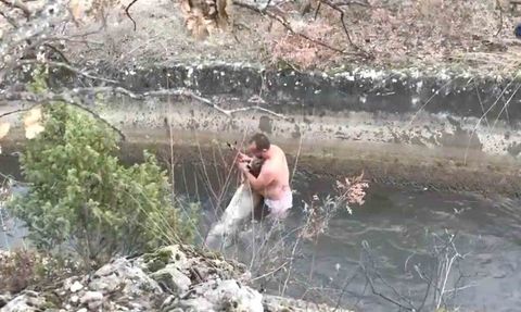 Kütahya Kayaköy'de su kanalına düşen karaca, tünele sürüklenmeden kurtarıldı