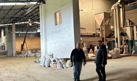 Lüleburgaz’da sertifikalı tohum denetimleri sürüyor