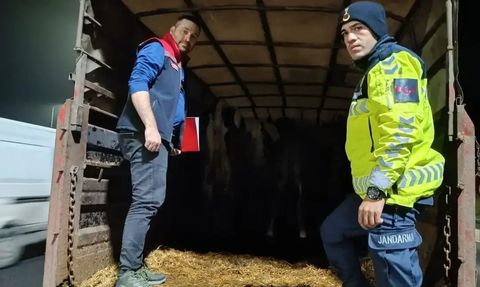 Malkara’da belgesiz hayvan sevkine idari para cezası