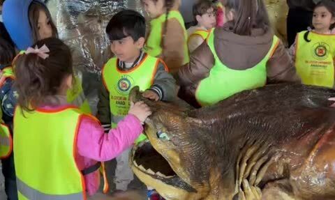 Minikler Türkiye Deniz Canlıları Müzesi'nde Mumya Balıklarla Tanıştı