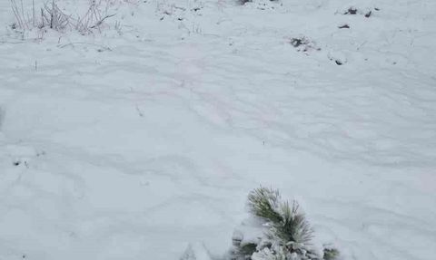 Muğla'da Göktepe Dağı'na mevsimin ilk karı yağdı