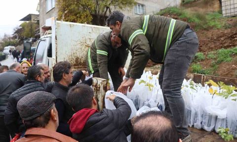 Nazilli Belediyesi 'Yeşeren Topraklar' ile Işıklar Mahallesi'ne 5 bin fidan dağıttı