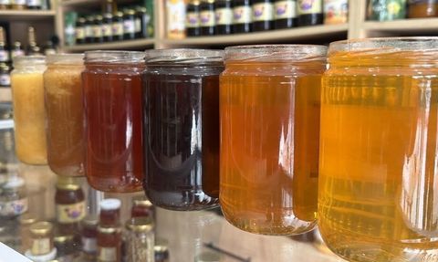 Okullarda ilk 'Coğrafi İşaret Günü' 15 Aralık'ta