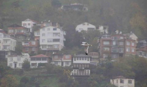 Ordu'da Boztepe'yi Sis Bulutları Kapladı