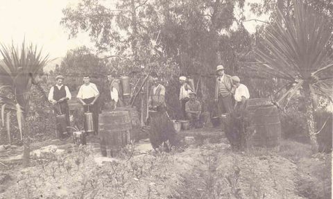 Ortaya Çıkan Arşiv Rize Çayının Tarihini Geriye Taşıdı