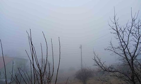 Posof'ta yoğun sis hayatı olumsuz etkiledi