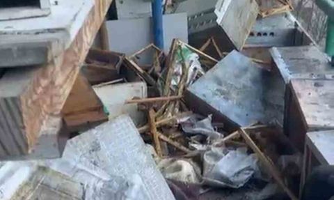 Rize Anzer Yaylası'nda ayı arılığa girip 30 peteği yok etti