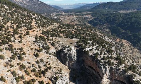 Saimbeyli'de 493 dönümlük alan eko turizme hazırlanıyor