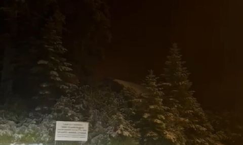 Sakarya Hendek yaylaları karla kaplandı