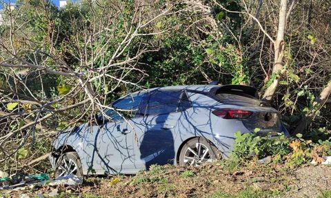 Sinop’ta otomobil ağaçlık alana devrildi: Sürücü yaralandı