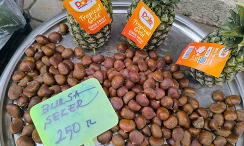 Şuhut'ta kestane talebi arttı: kilogram 200-250 lira