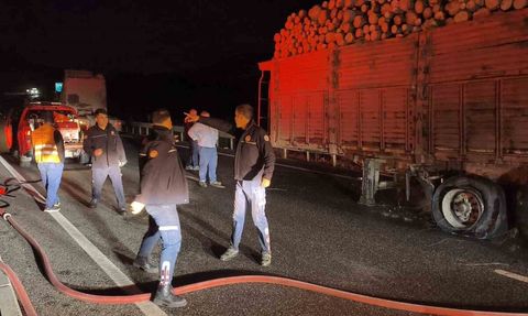 Tomruk yüklü TIR’da lastik yangını büyümeden söndürüldü