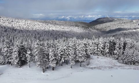 Uludağ'da kar örtüsü eridi: Zirvede kalınlık 6 santimetreye düştü