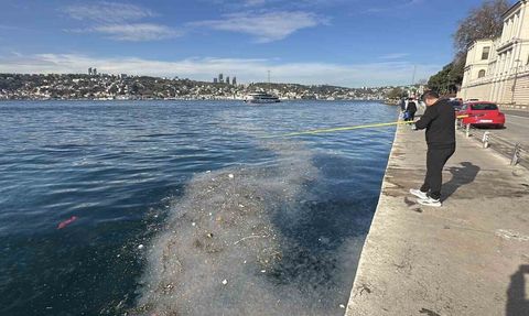 Üsküdar Kuleli sahilinde binlerce denizanası kıyıya vurdu