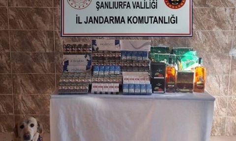 Viranşehir'de jandarmadan kaçakçılık operasyonu: 6 bin 820 paket sigara ele geçirildi