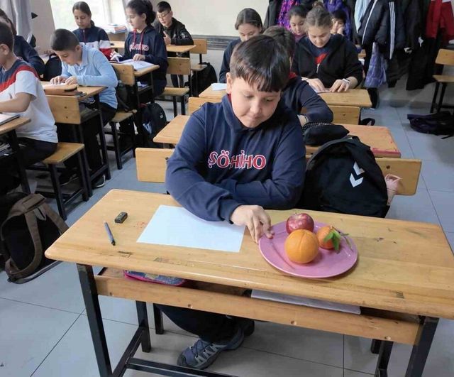 Çanakkale'de Arıburnu İlkokulu'nda Yerli Malı Haftası Etkinlikleri