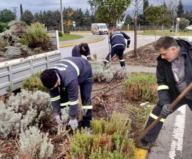 Körfez’de parklar mevsimsel çiçeklerle canlanıyor