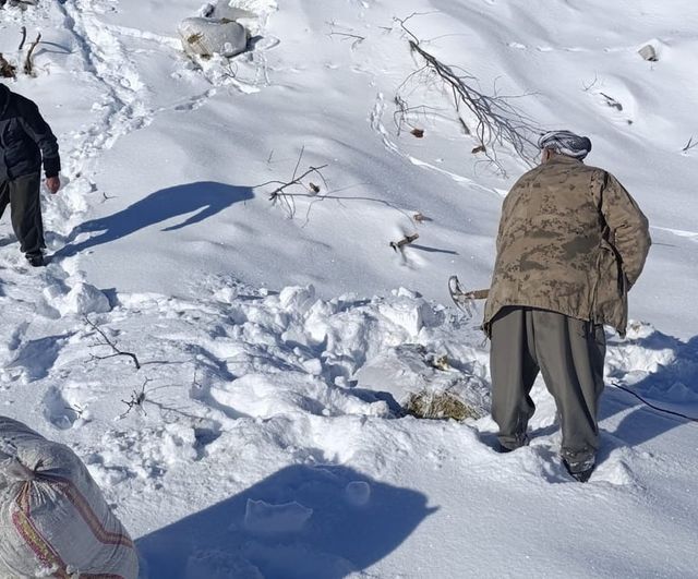 Hakkari Çukurca Taşbaşı'nda çığ: Ahırların üzerine düşen çığ küçükbaşları telef etti